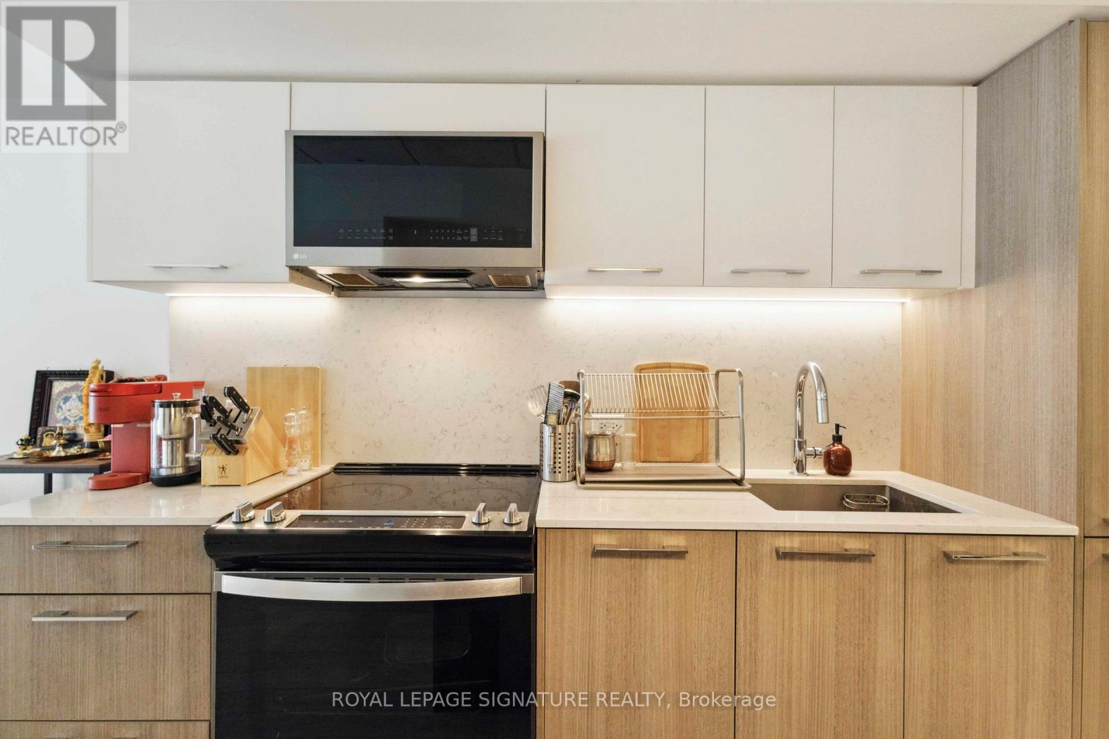 313 - 665 Queen Street E, Toronto, Ontario  M4M 1G4 - Photo 17 - E12185173