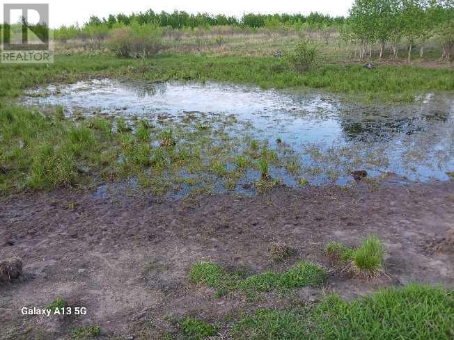 Ne Quarter  17- 38- 8- W5, Rural Clearwater County, Alberta  T4T 2A2 - Photo 23 - A2224356