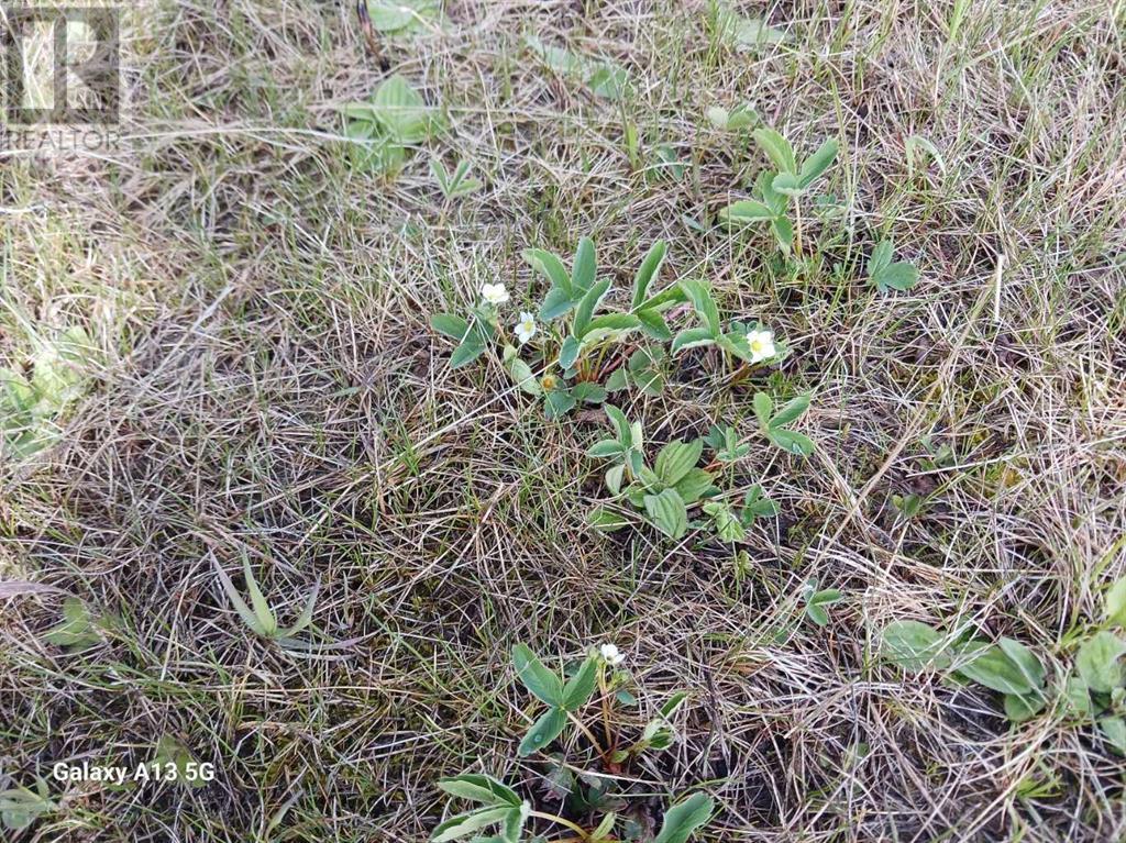 Ne Quarter  17- 38- 8- W5, Rural Clearwater County, Alberta  T4T 2A2 - Photo 13 - A2224356