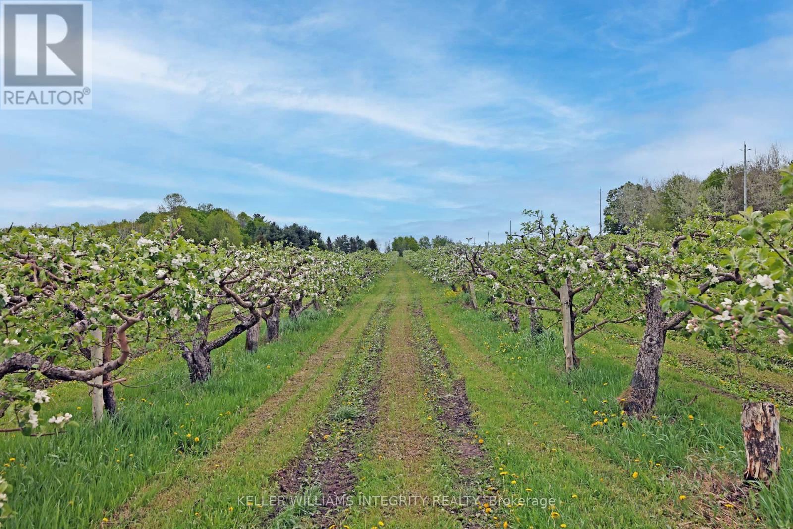3376 Burnstown Road, Horton, Ontario  K7V 3Z9 - Photo 8 - X12184419