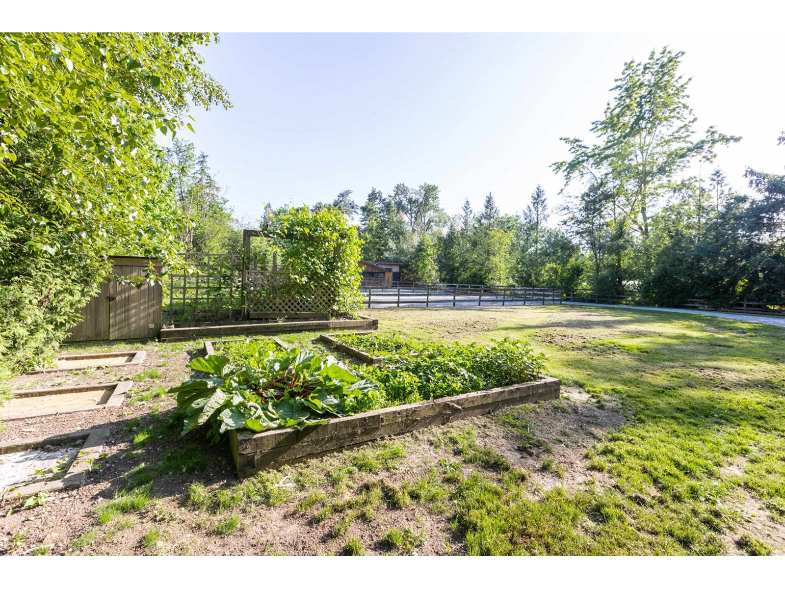 21834 40 Avenue, Langley, British Columbia  V2Z 1N7 - Photo 8 - R3008939