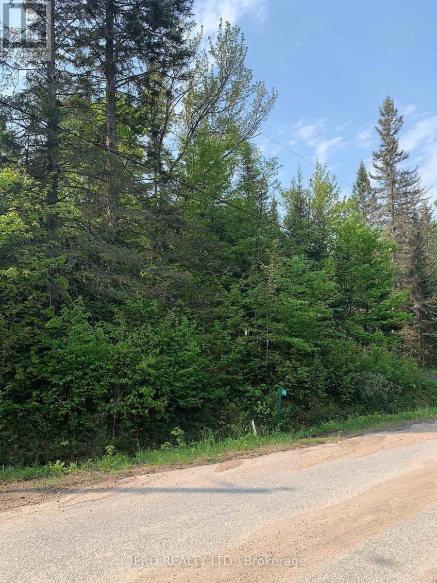 341 Main Street E, Powassan, Ontario  P0H 2L0 - Photo 3 - X12185210
