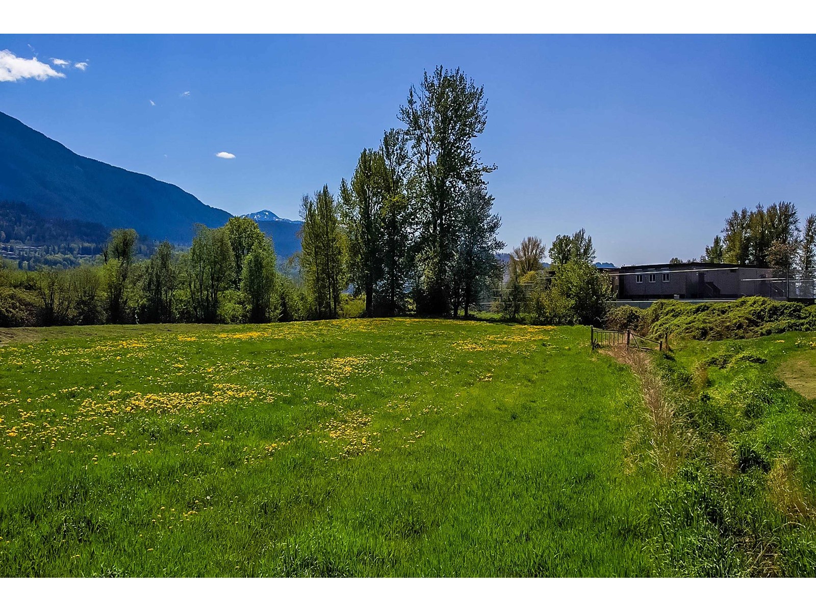 50960 Nevin Road, Rosedale, Chilliwack, British Columbia  V0X 1X2 - Photo 12 - R3009196