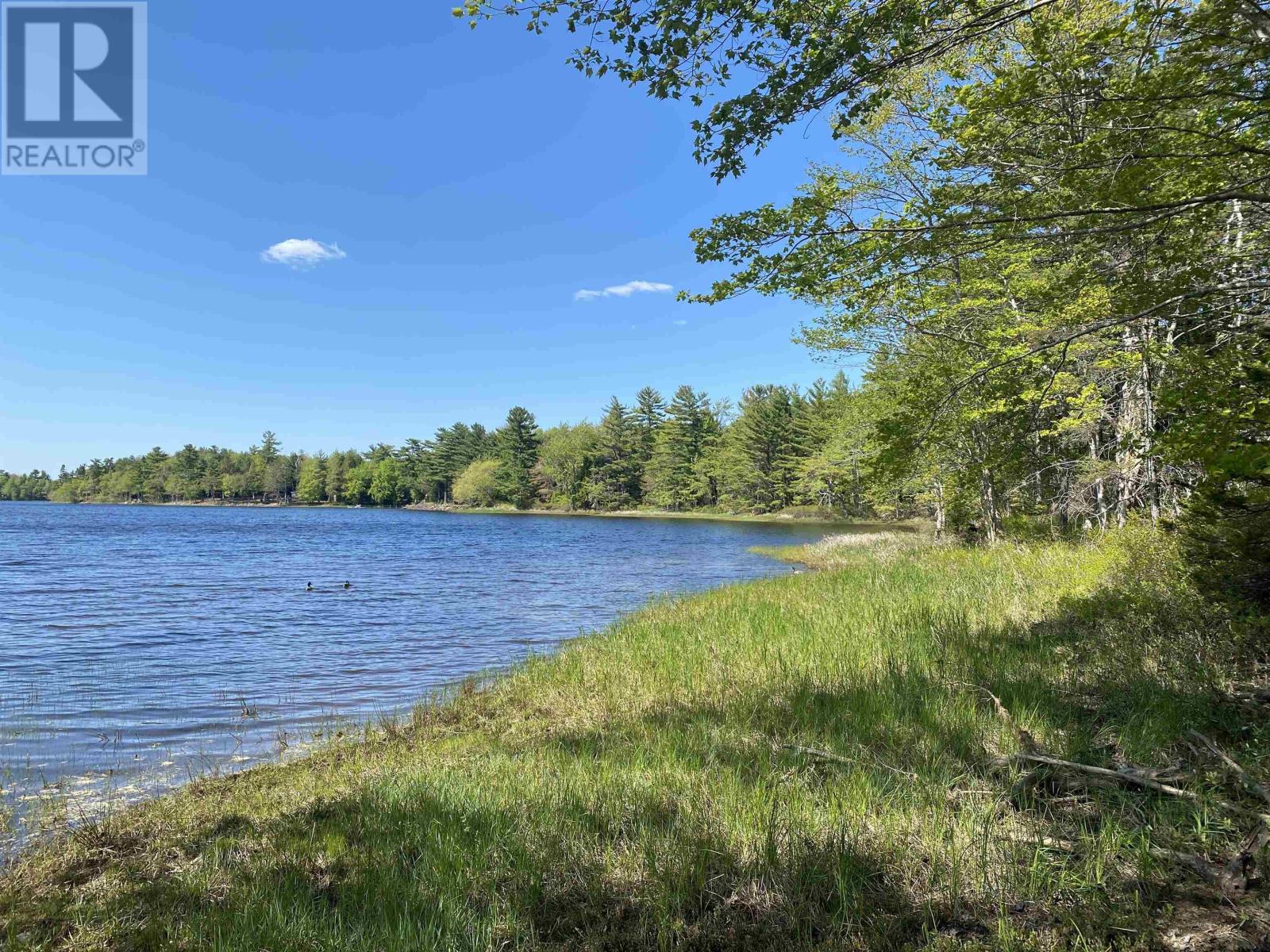 77 Laurie Wamboldt Road, Greenfield, Nova Scotia  B0T 1E0 - Photo 4 - 202512922