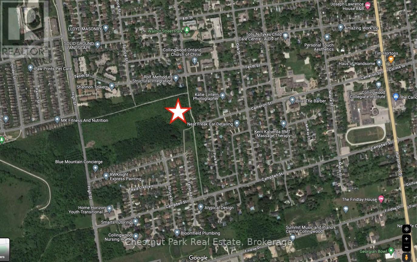 Pt Lt M Cameron Street, Collingwood, Ontario  L9Y 2J8 - Photo 3 - S12185362