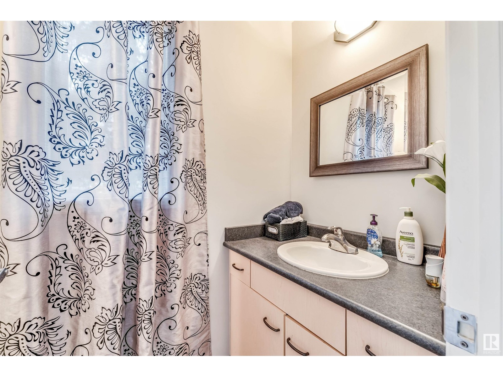 #28 11717 9b Av Nw, Edmonton, Alberta  T6J 7B7 - Photo 29 - E4439507