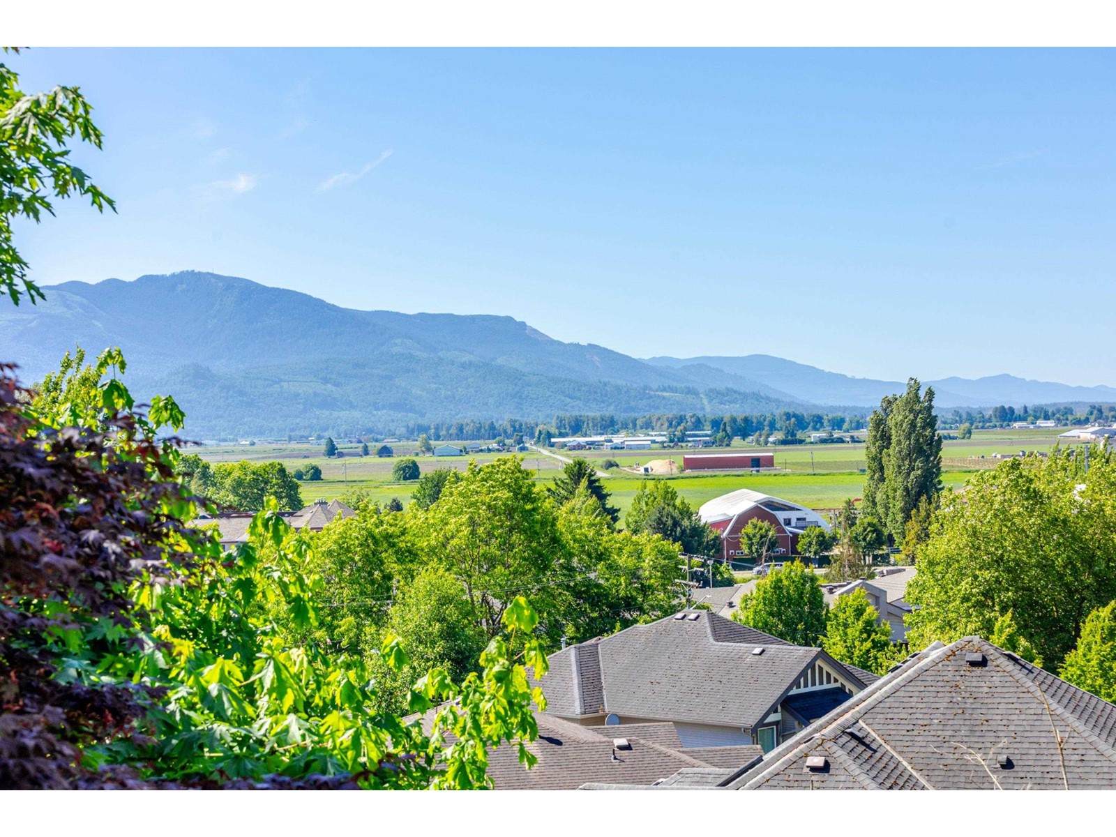 35210 Rockwell Drive, Abbotsford, British Columbia  V3G 2C9 - Photo 9 - R3009147