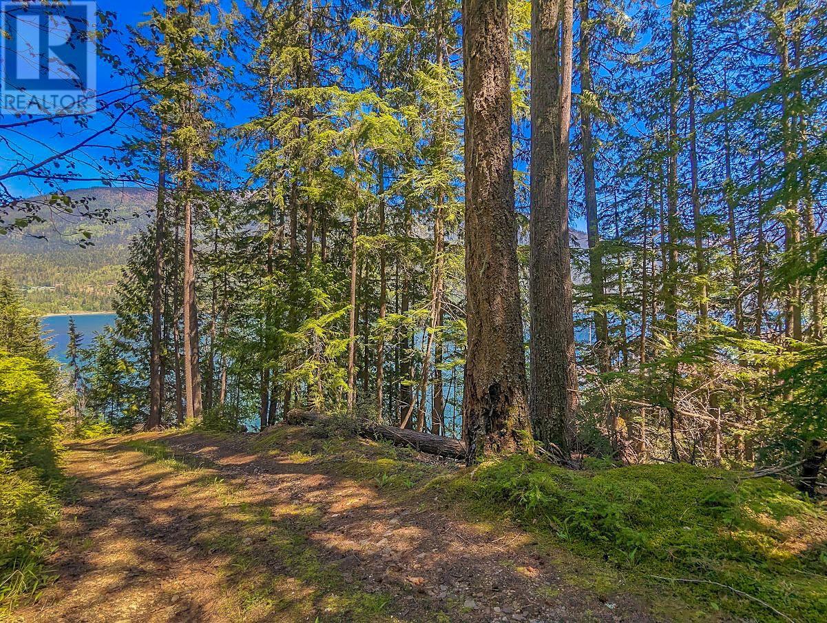Lot 25 Fish Hawk Bay Road, Crawford Bay, British Columbia  V0B 1E0 - Photo 15 - 10349788