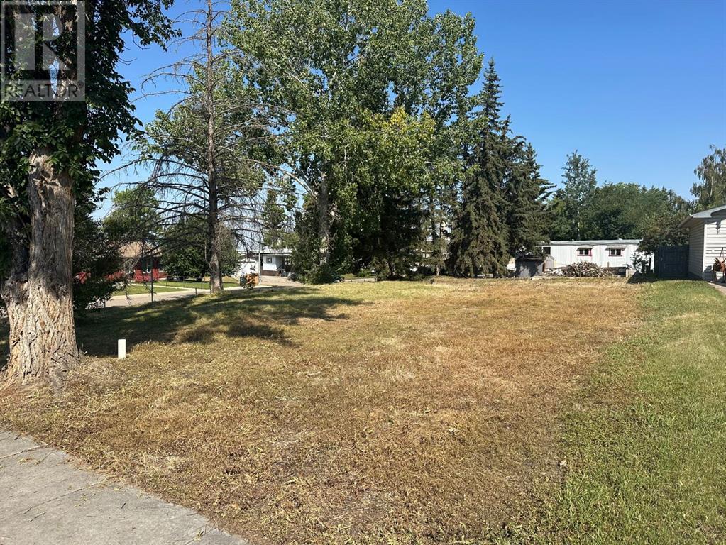 410 5 Street Se, Three Hills, Alberta  T0M 2A0 - Photo 2 - A2105481