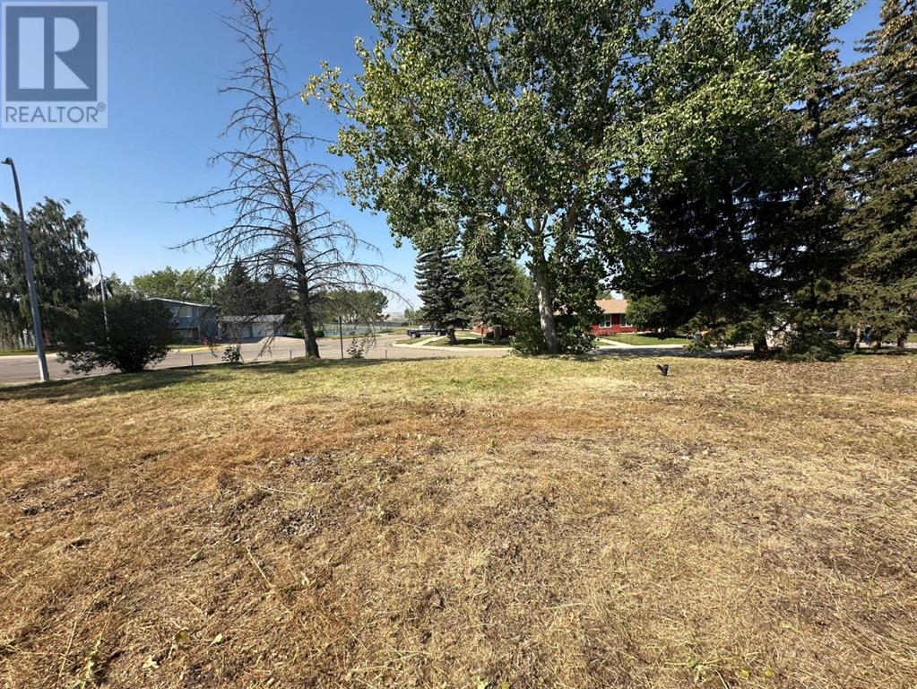 410 5 Street Se, Three Hills, Alberta  T0M 2A0 - Photo 7 - A2105481
