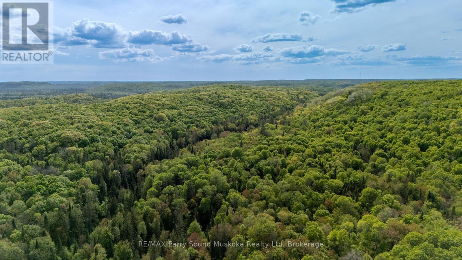 1516 Williamsport Road, Huntsville, Ontario  P1H 2J4 - Photo 32 - X12135867