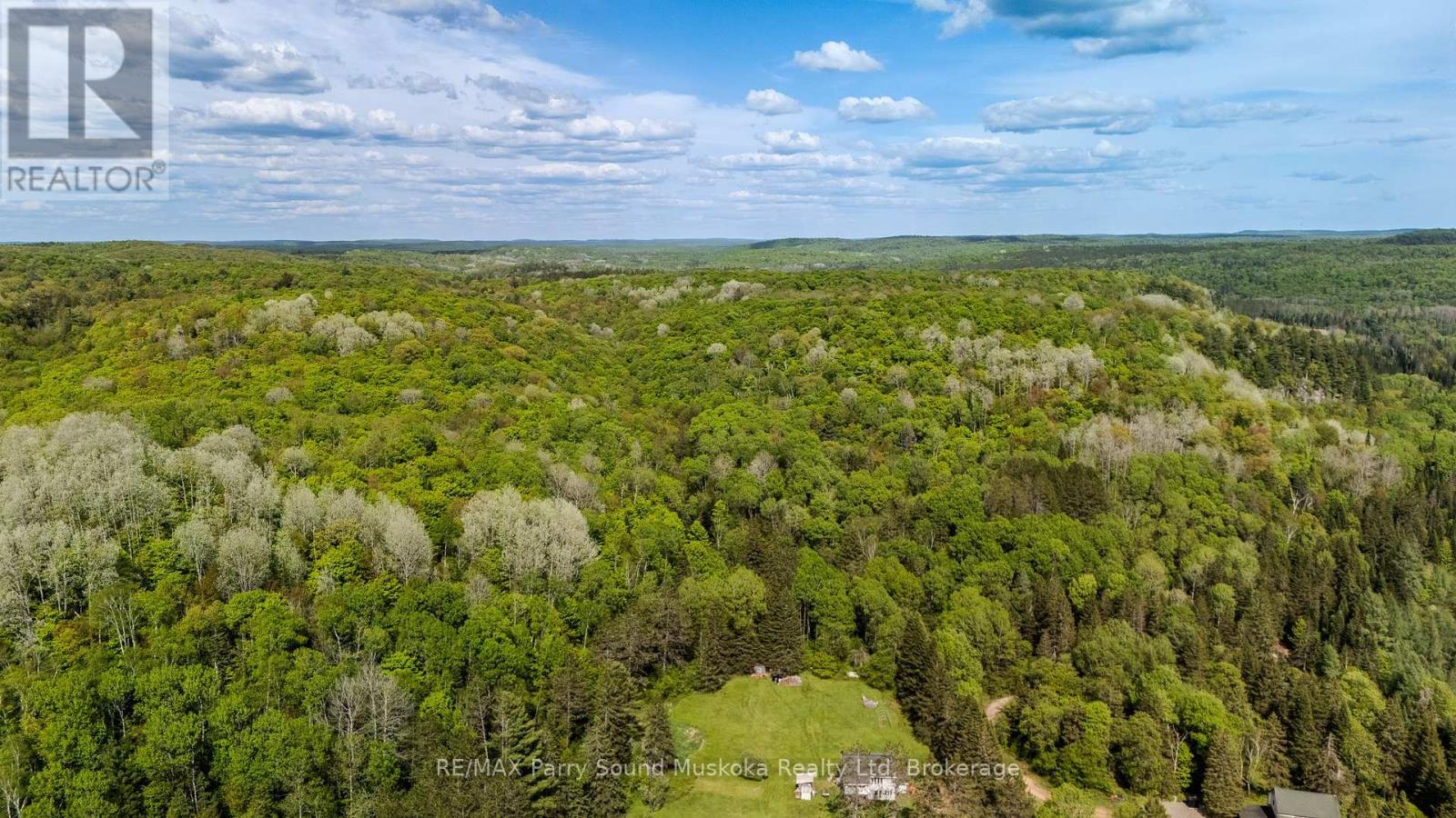 1516 Williamsport Road, Huntsville, Ontario  P1H 2J4 - Photo 31 - X12135867