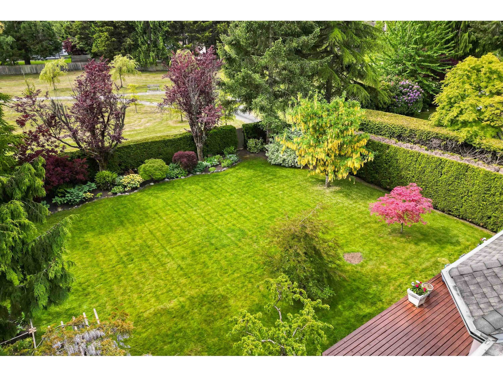 13808 19a Avenue, Surrey, British Columbia  V4A 9M2 - Photo 37 - R3009330