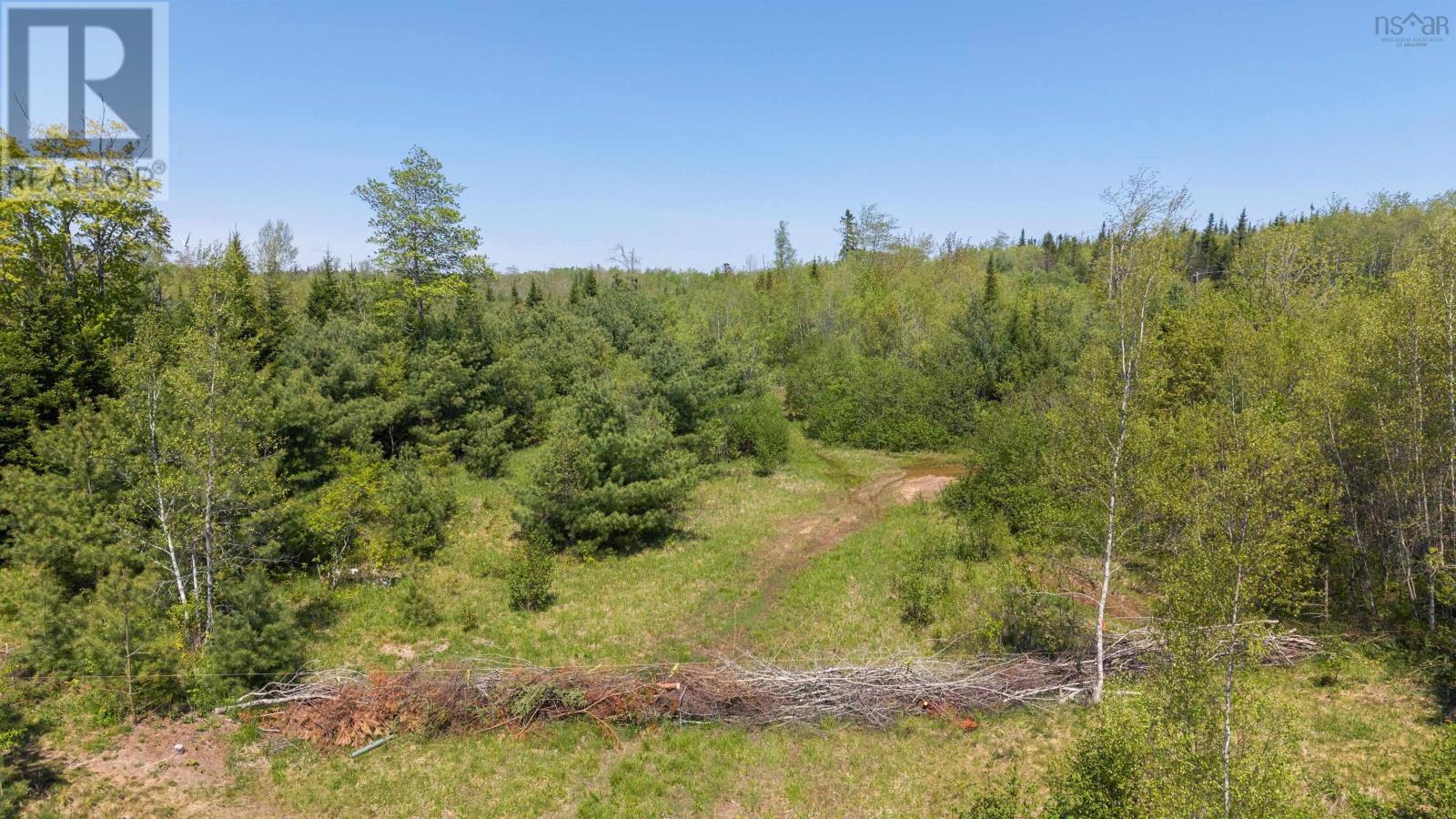 Lot 4 Blois Road, Macphees Corner, Nova Scotia  B0N 2H0 - Photo 10 - 202512950