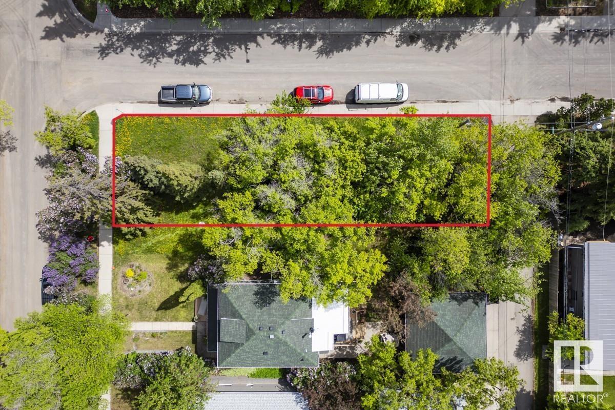 14303 101 Av Nw, Edmonton, Alberta  T5N 0K7 - Photo 7 - E4439572