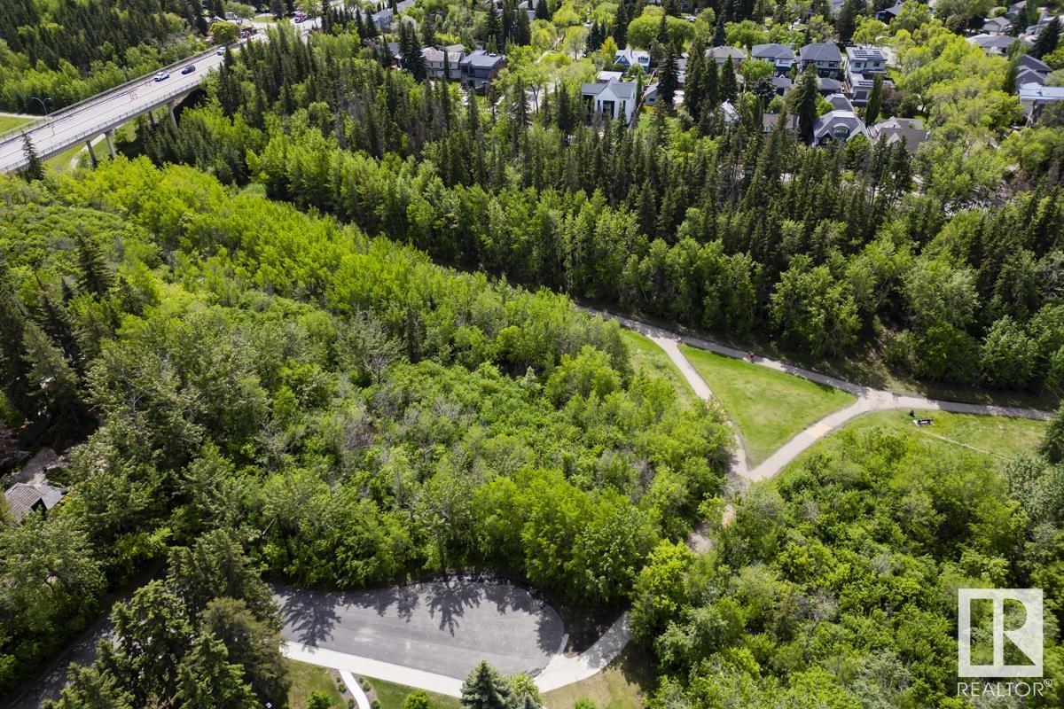 14303 101 Av Nw, Edmonton, Alberta  T5N 0K7 - Photo 10 - E4439572