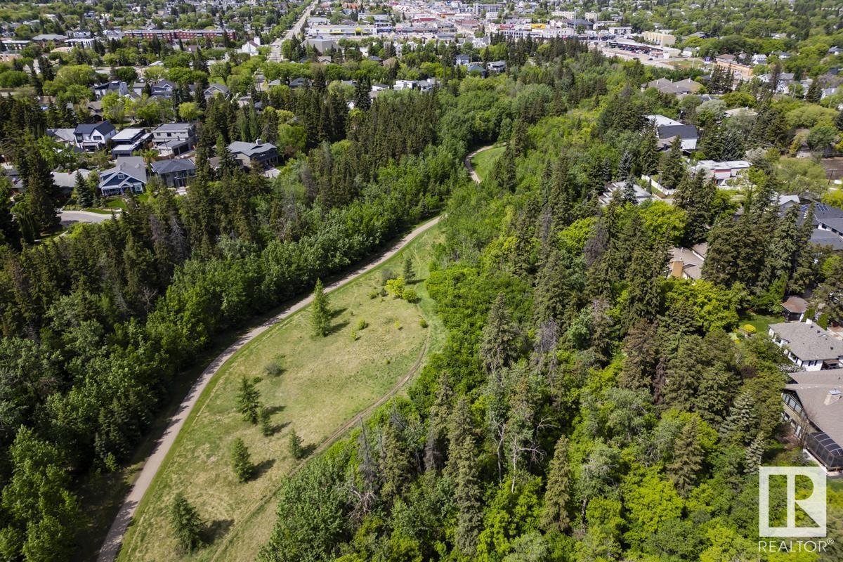 14303 101 Av Nw, Edmonton, Alberta  T5N 0K7 - Photo 11 - E4439572