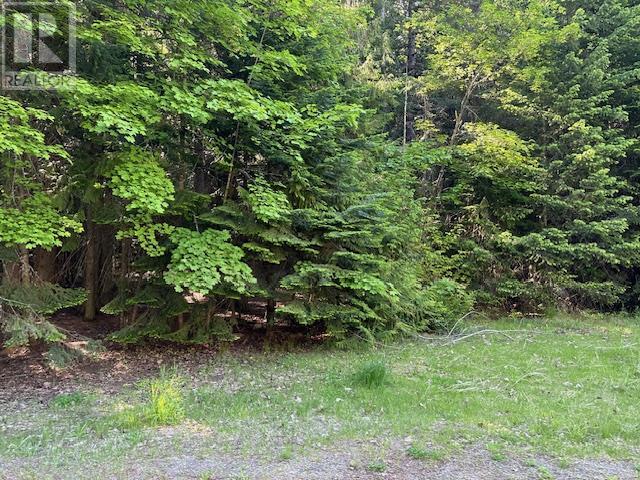 Lot A MACLURE Avenue, Salmo, BC V0G1Z0