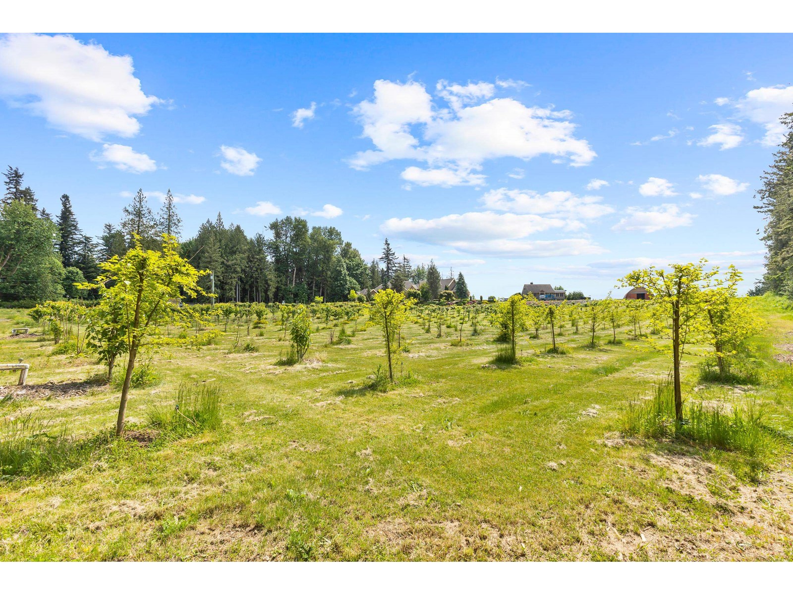32288 King Road, Abbotsford, British Columbia  V2T 5Z5 - Photo 37 - R3008498