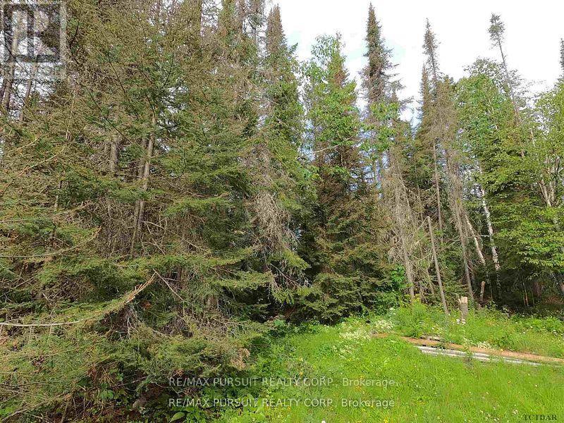 Pcl 6 Island A1, Timiskaming Remote Area, Ontario  P0K 1S0 - Photo 25 - T12185794