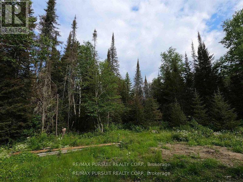 Pcl 6 Island A1, Timiskaming Remote Area, Ontario  P0K 1S0 - Photo 26 - T12185794