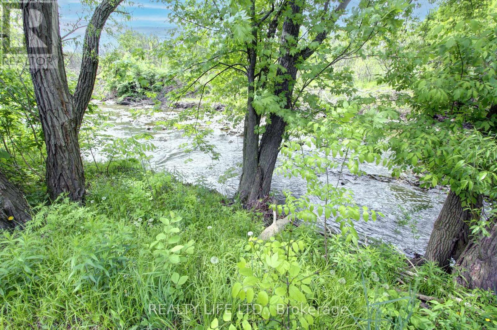 48 Bonnyview Drive, Toronto (Stonegate-Queensway), Ontario  M8Y 3G6 - Photo 43 - W12186162