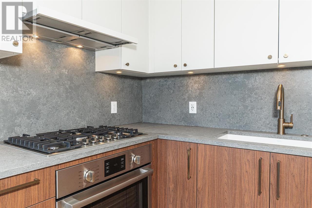 209 5007 Ash Street, Vancouver, British Columbia  V5Z 0K9 - Photo 2 - R3008612