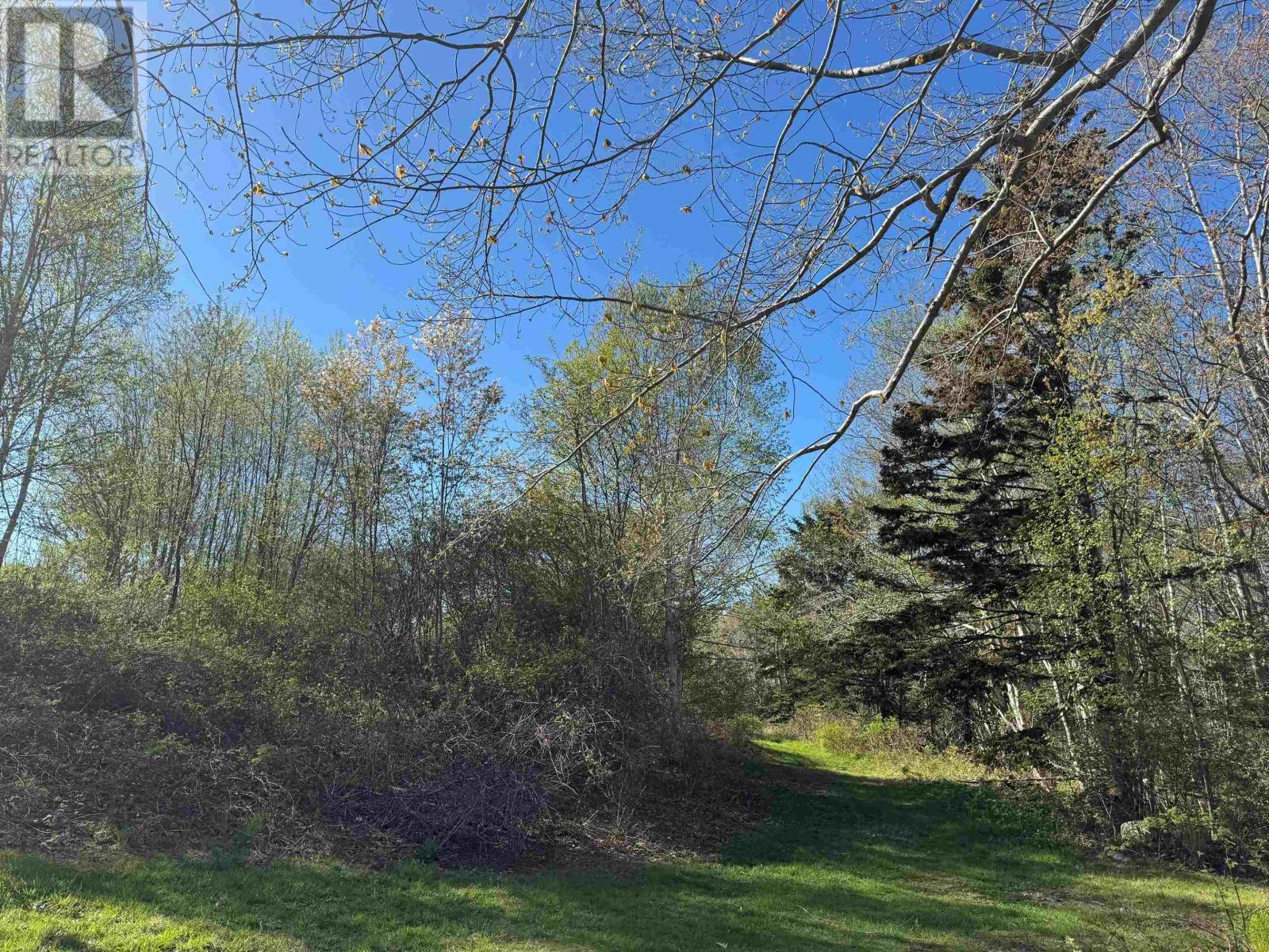 680 Mood Road, Summerville, Nova Scotia  B5A 5J4 - Photo 28 - 202512958