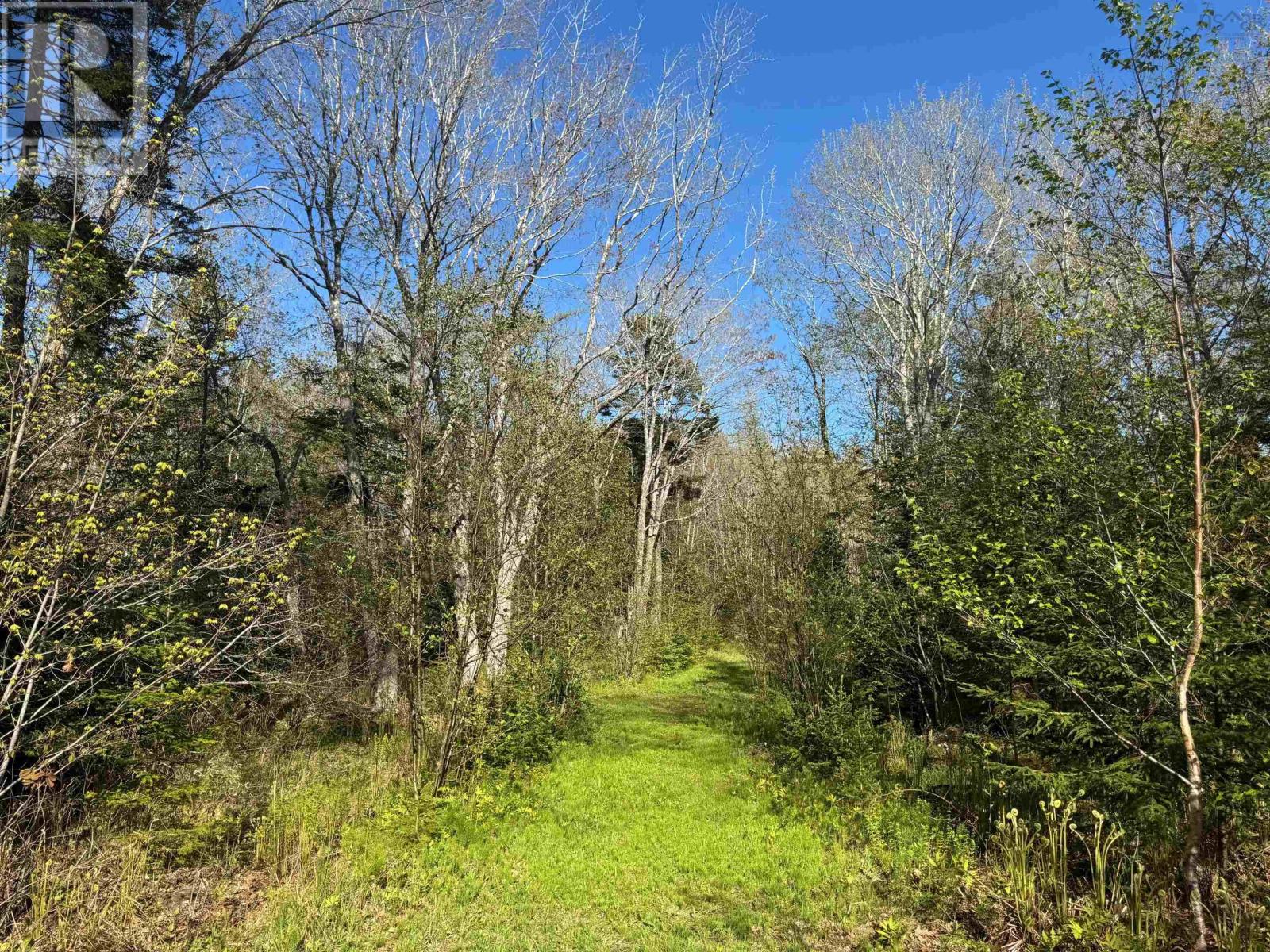 680 Mood Road, Summerville, Nova Scotia