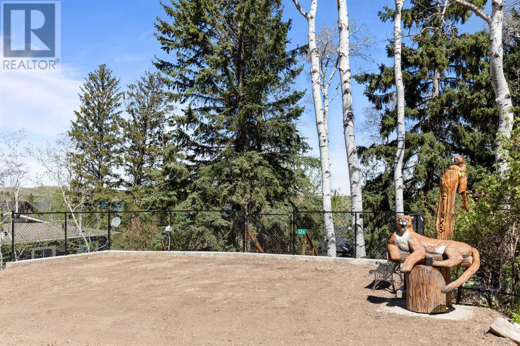 126 5 Avenue, Rural Cypress County, Alberta  T0J 1C0 - Photo 2 - A2221040