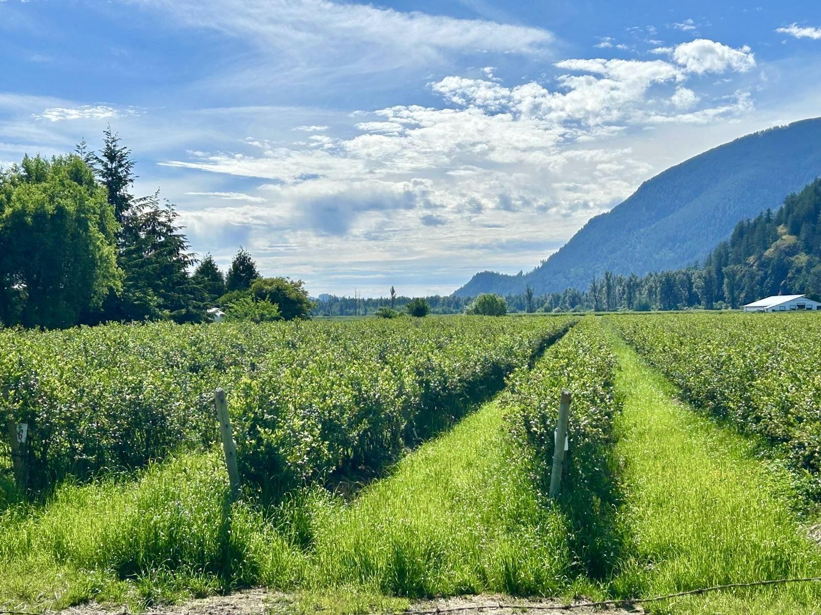 10ac Johnson Road, Mission, British Columbia  V0M 1G0 - Photo 13 - R3005594