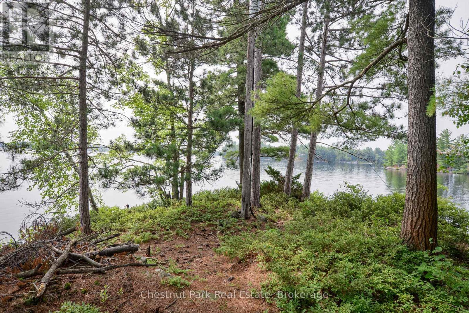 1 8kl Rose Island, Gravenhurst, Ontario  P0B 1G0 - Photo 47 - X12186221