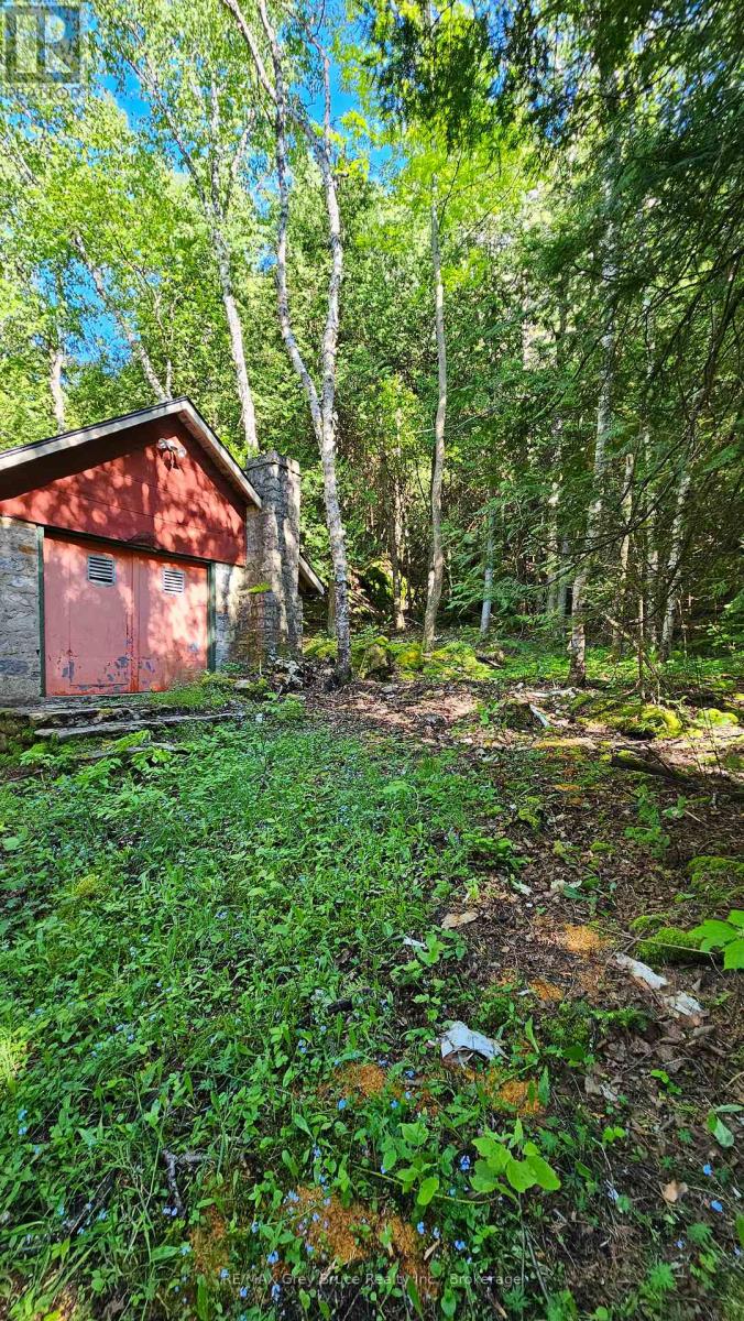 130 South Shore Road, Northern Bruce Peninsula, Ontario  N0H 1W0 - Photo 34 - X12186303