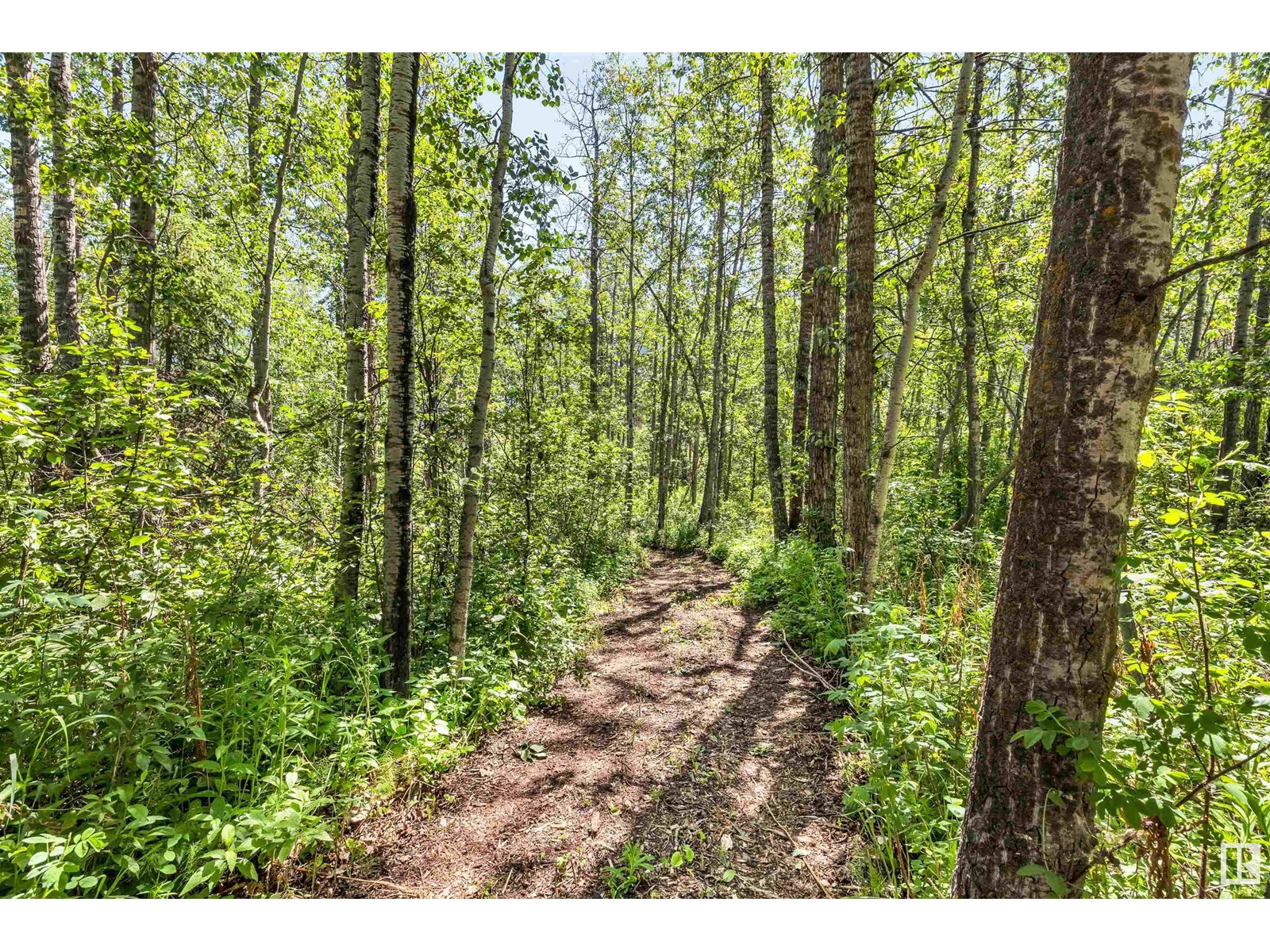 19 27019 Twp Rd 514, Rural Parkland County, Alberta  T7Y 1G6 - Photo 58 - E4439598