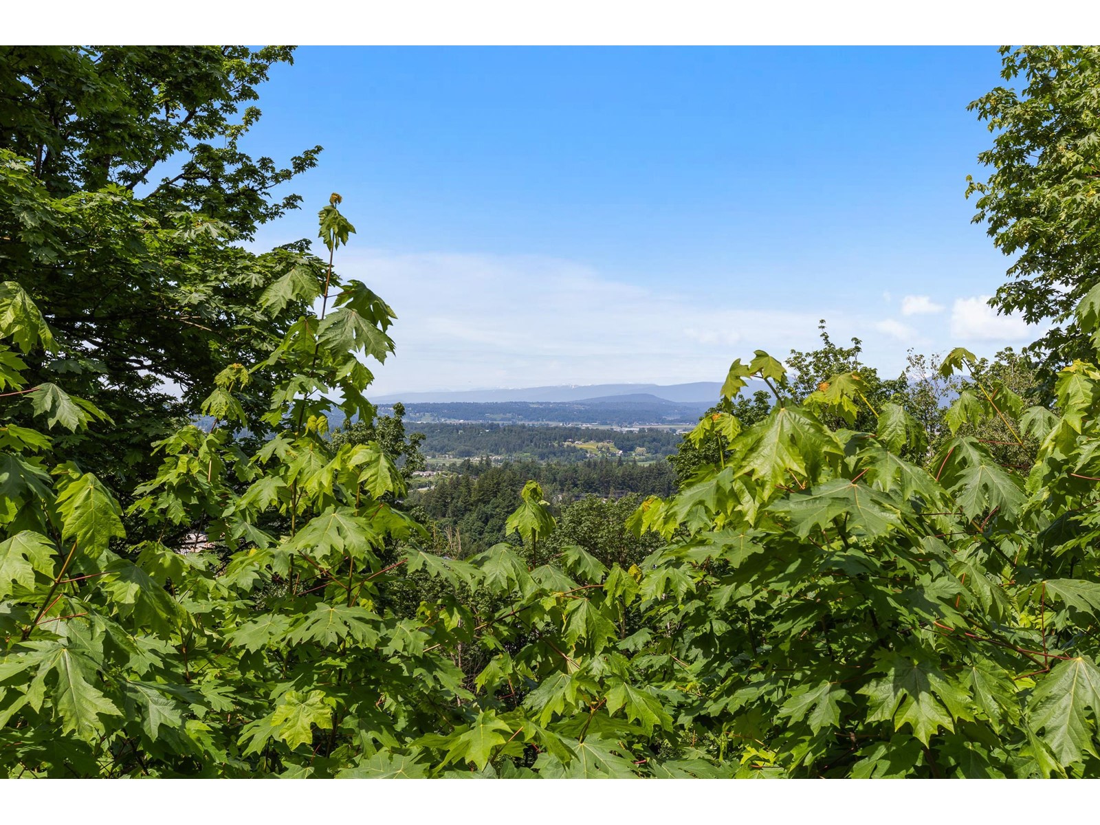 E 2904 Glencoe Place, Abbotsford, British Columbia  V3G 1H5 - Photo 2 - R3009012