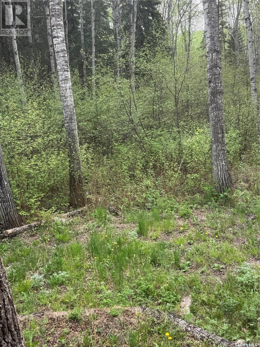 17 Moose Crescent, Hudson Bay Rm No. 394, Saskatchewan  S0E 0Y0 - Photo 30 - SK007823