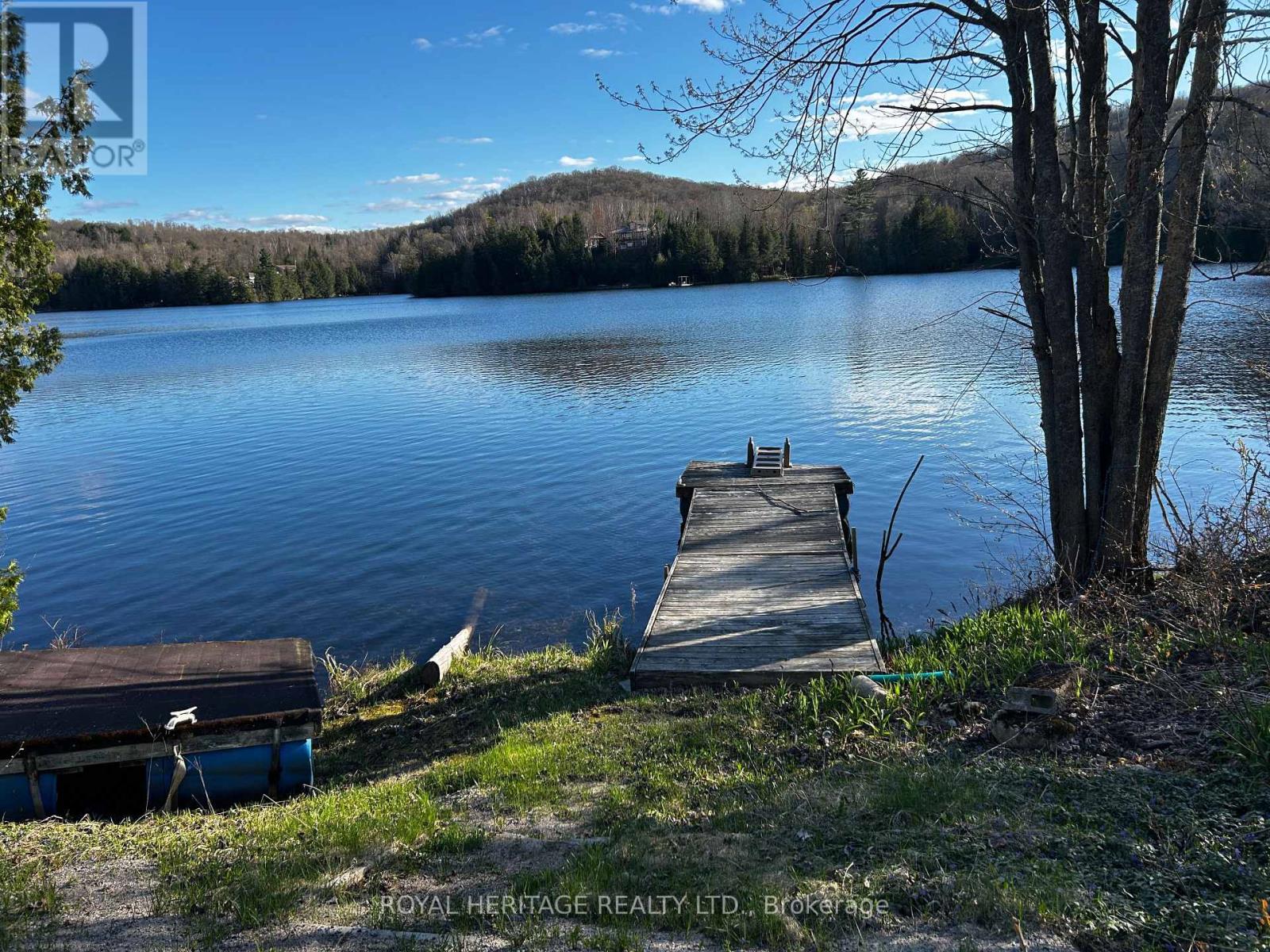 Property at 256 TROUT LAKE ROAD image 3
