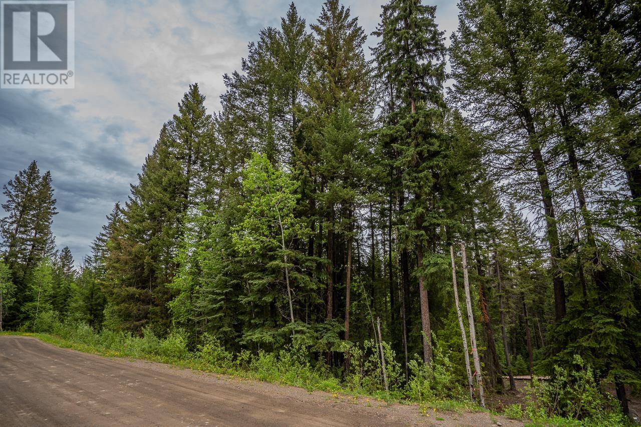 Lot 88 Julsrud Road, Deka Lake / Sulphurous / Hathaway Lakes, British Columbia  V0K 1X3 - Photo 2 - R3009467