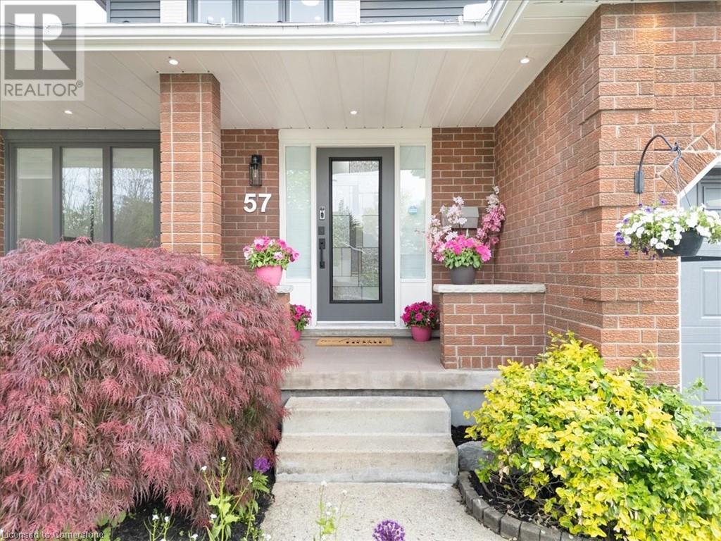 Property at 57 SPRINGMOUNT Drive image 3