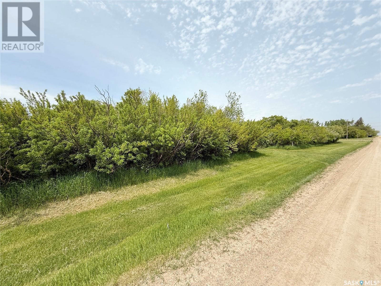 303 Heward Street, Griffin, Saskatchewan  S0C 1G0 - Photo 11 - SK007842