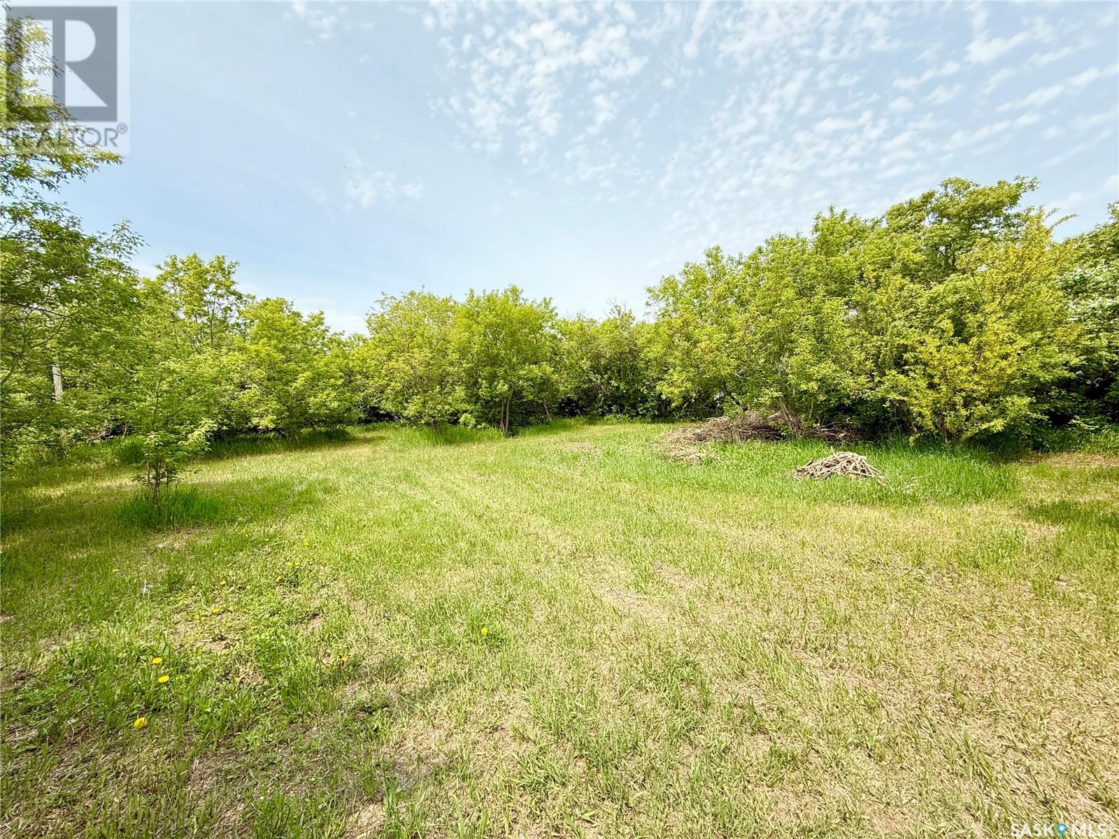 303 Heward Street, Griffin, Saskatchewan  S0C 1G0 - Photo 12 - SK007842