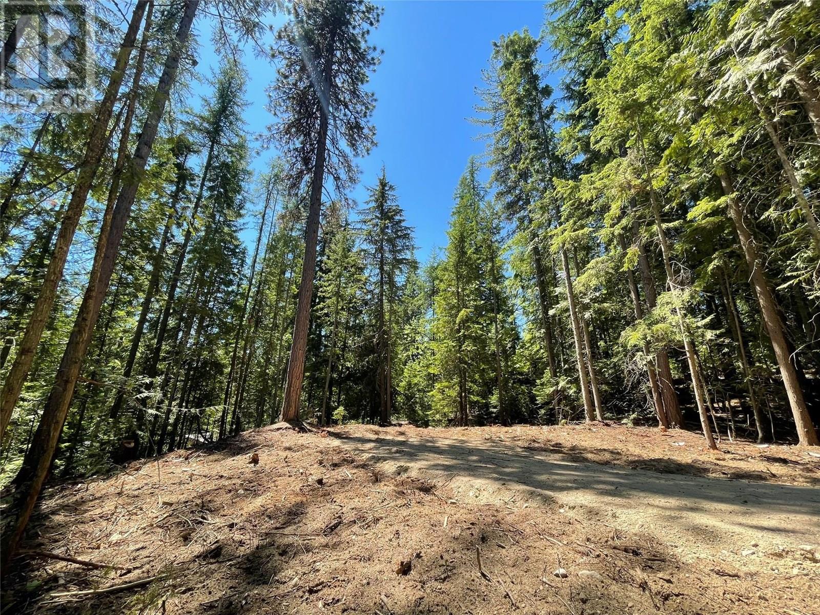 Lot B Thompson Road, bonnington, British Columbia