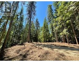 Lot B Thompson Road, bonnington, British Columbia
