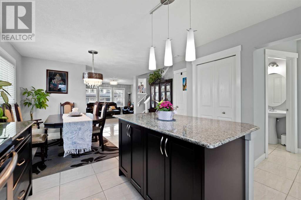 78 Skyview Point Green Ne, Calgary, Alberta  T3N 0G6 - Photo 20 - A2215239