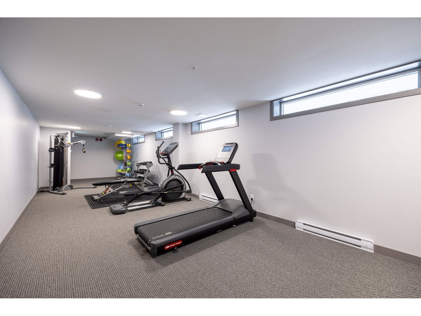 317 5504 Brydon Crescent, Langley, British Columbia  V3A 4A4 - Photo 15 - R3009435