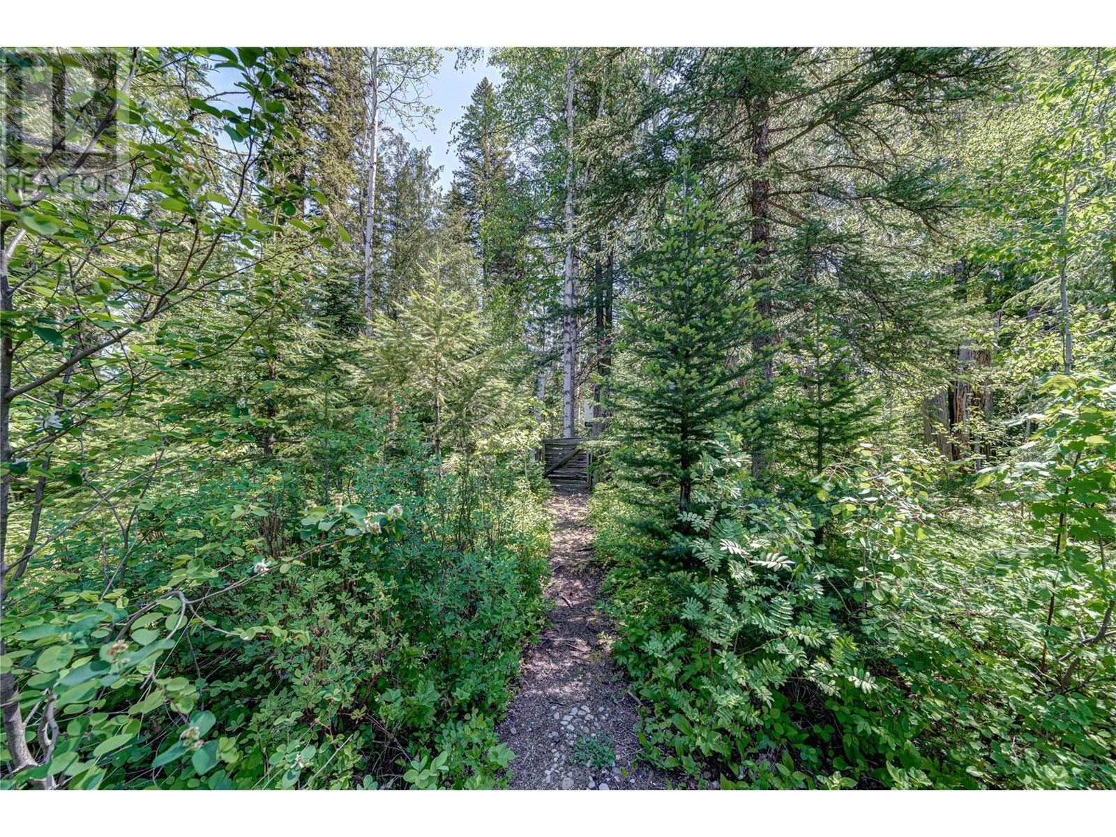 43 Piedmont Drive, Fernie, British Columbia  V0B 1M4 - Photo 81 - 10335694