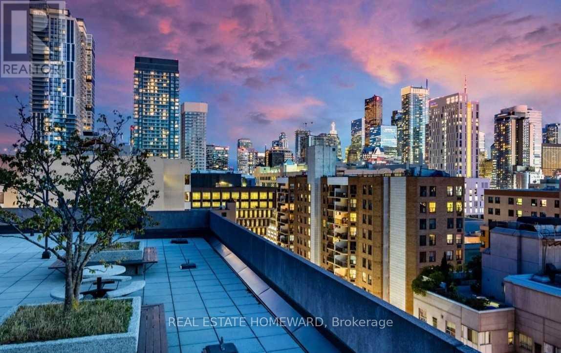 206 - 117 Gerrard Street E, Toronto (Church-Yonge Corridor), Ontario  M5B 2L4 - Photo 22 - C12186908