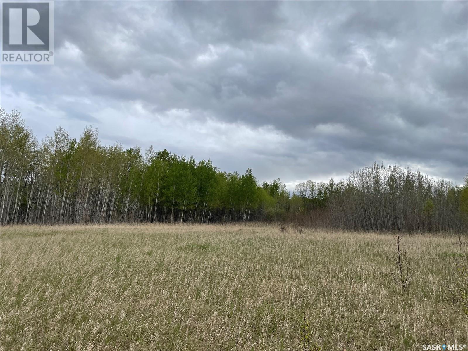 5.5km South Of Dorintosh Lot 2, Meadow Lake Rm No.588, Saskatchewan  S0M 0T0 - Photo 6 - SK007865