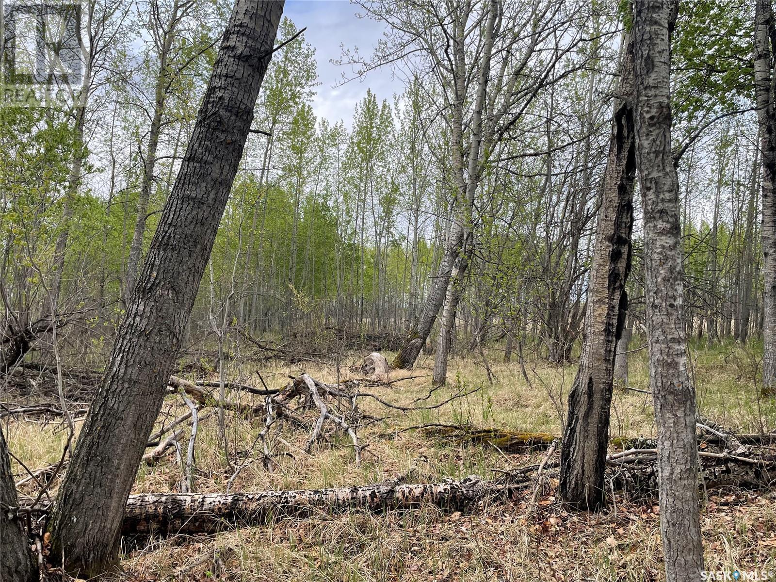 5.5km South Of Dorintosh Lot 2, Meadow Lake Rm No.588, Saskatchewan  S0M 0T0 - Photo 8 - SK007865