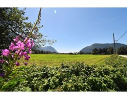 59280 St Elmo Road|Laidlaw, Hope, Ca